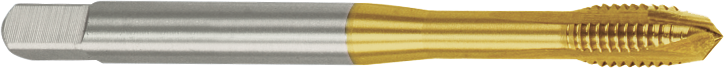 S41