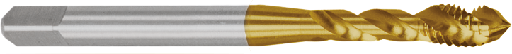 S41